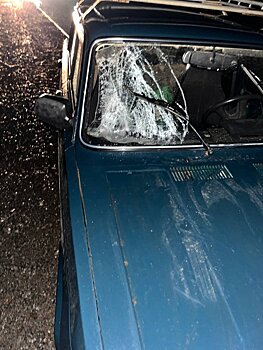 На трассе «Воткинск-Чайковский» водитель сбил идущую по дороге женщину