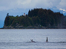 Такая впечатляющая Аляска