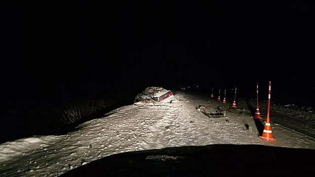 Два человека погибли в ДТП с большегрузом в Советском районе