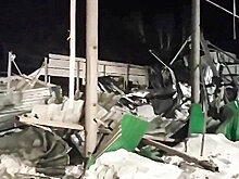Владелец обрушившегося конного клуба в Бердске попросил прощения