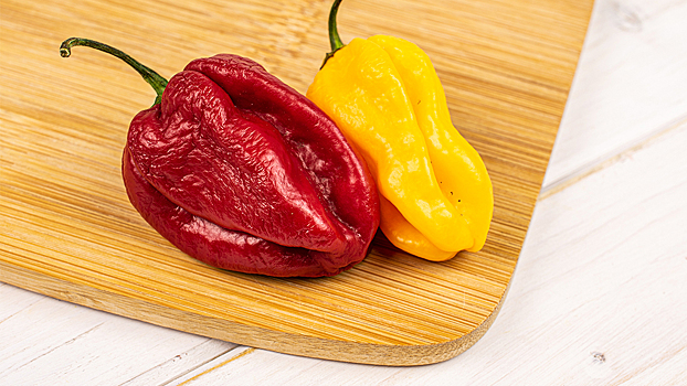 Как спасти вялые перцы, кабачки и зелень