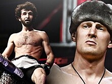 Александр Волков — Грэг Харди. Прогноз Романа Мазурова