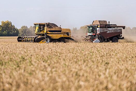 Полпред Серышев провел окружное совещание по уборочной кампании