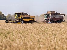 Полпред Серышев провел окружное совещание по уборочной кампании