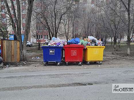 Жители Оренбурга пожаловались на нехватку мусорных баков в городе