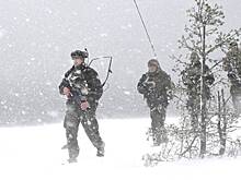 Одна из стран НАТО начала сухопутные учения, часть которых пройдет у границы РФ