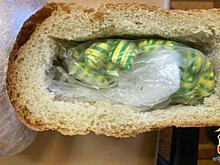 Хлеб и батон колбасы с начинкой из героина и метадона изъяла полиция Алтайского края у двух закладчиков