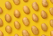 7 удивительных открытий о картофеле