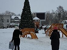 Жители Южно-Сахалинска показали, как выглядит замена сгоревшей елки