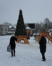Жители Южно-Сахалинска показали, как выглядит замена сгоревшей елки