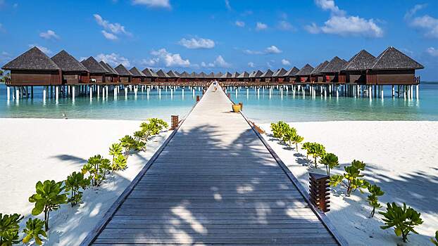 Когда бронировать новогодние путешествия, чтобы получить максимальную скидку