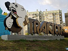 В 2021 году возле ледовой арены «Трактор» в Челябинске появится две площадки для выгула собак
