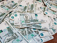 Яна Лантратова предложила давать скидки на автокредит для семей с детьми