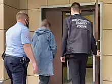 Появилось видео задержания избившей пенсионера санитарки в Подмосковье