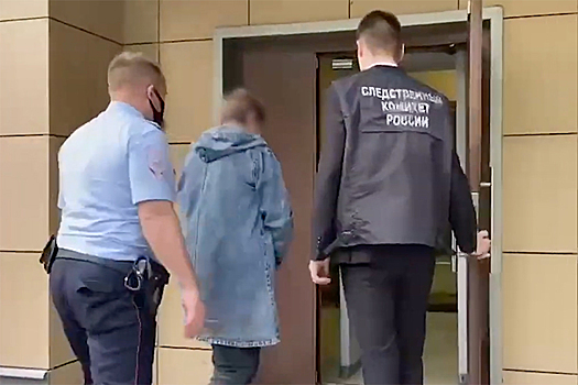 Появилось видео задержания избившей пенсионера санитарки в Подмосковье