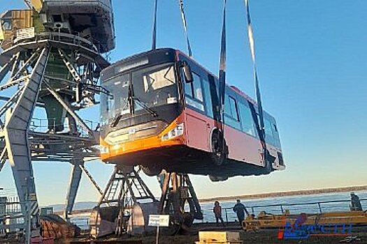 Хабаровский частный перевозчик приобрел 30 новых автобусов