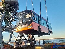 Хабаровский частный перевозчик приобрел 30 новых автобусов