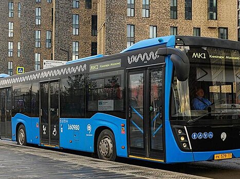 Более трех тысяч рейсов совершили бесплатные автобусы до кинопарка "Москино"