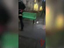 Шпиц пытался спасти укравшего миллионы хозяина от Росгвардии и попал на видео