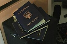 Летчик Кузьминов въехал в Испанию по паспорту на имя Игоря Шевченко