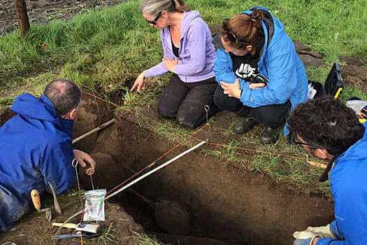 Ирландский фермер нашел на своей земле могилу современника святого Патрика