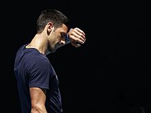 Скандальная депортация Новака Джоковича перед стартом Australian Open — 2022: как это было, подробности