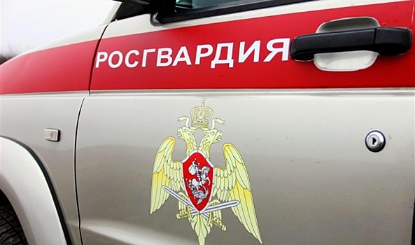 Воронежские росгвардейцы догнали и задержали пьяного водителя на ВАЗе