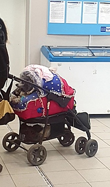 Почту на Мурановской посетила женщина с необычным младенцем