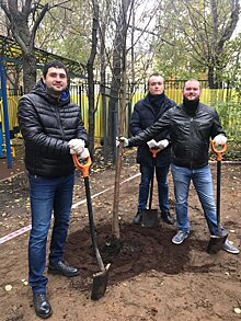 На месте снесенного самостроя в жилом квартале на Беговой появилась зеленая зона