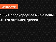 Франция предупредила мир о вспышке опасного птичьего гриппа