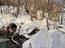 Тампонировать трубы в реке Тула предложили в Новосибирске