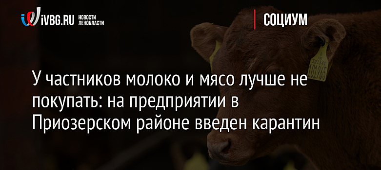У частников молоко и мясо лучше не покупать: на предприятии в Приозерском районе введен карантин