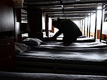 Названы регионы России с процветающим рабством