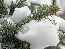 Москву завалило снегом