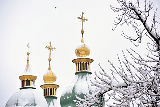 Психиатр: Устроивший резню в московском храме хотел свести счеты