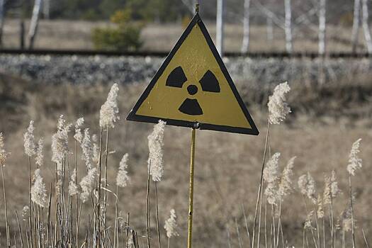 Украина после атаки России отключила семь из девяти ядерных реакторов