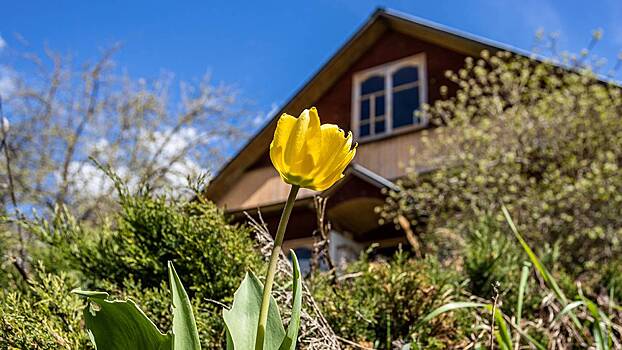 За вами следят с воздуха: как БПЛА будут контролировать дачников