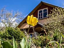 За вами следят с воздуха: как БПЛА будут контролировать дачников