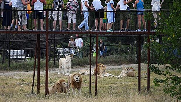 В новой Москве могут построить сафари-парк