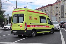 С начала года более 250 человек погибло в ДТП в Москве