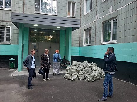 Собственника ремонтируемой квартиры на Илимской обяжут выбрасывать строительный мусор в особый контейнер