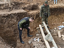 Поисковики спустя три года обнаружили убитых нацистами в Ленобласти инвалидов