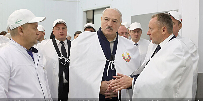 Антикризисный план: Лукашенко оценил объединение убыточного хозяйства с крупным производством