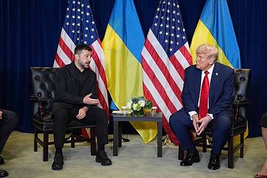 Выборы и инвестиции: Что Трамп предложил Украине и России