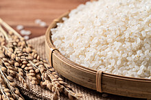 Специалист назвал идеальные условия хранения отварного риса