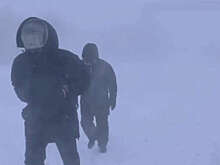 В Анадыре на видео сняли, как людей сдувало на проезжую часть во время метели