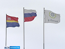 В посёлке Нивенское прошёл семинар по проблематике сбора промышленных отходов
