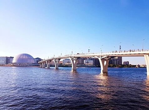 Депутат ЗакСа Ленобласти справил нужду на Яхтенный мост в Петербурге