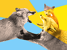 Можно ли спорить при детях? Все не так однозначно, как кажется