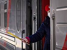 Коллега прокомментировала действия выбросившей кота Твикса проводницы